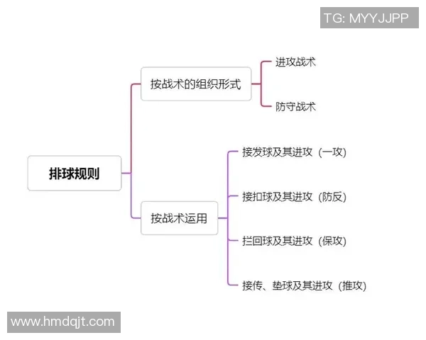 北京排球队深度分析：如何实现整体压制与战术优势的完美结合