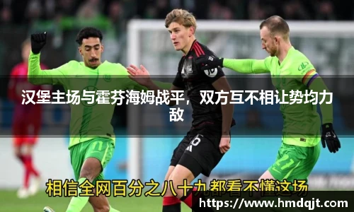 汉堡主场与霍芬海姆战平，双方互不相让势均力敌
