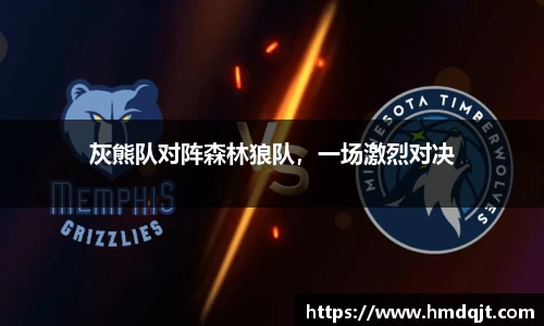 灰熊队对阵森林狼队，一场激烈对决