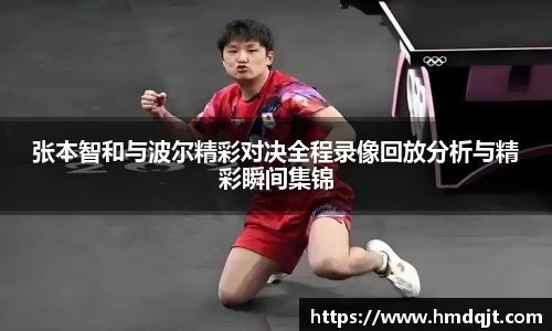 张本智和与波尔精彩对决全程录像回放分析与精彩瞬间集锦