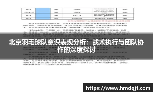 北京羽毛球队意识表现分析：战术执行与团队协作的深度探讨